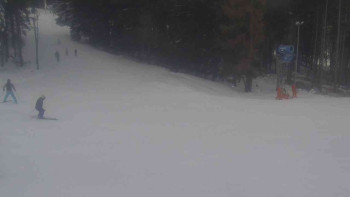 Ski Karlov - areál Karlov