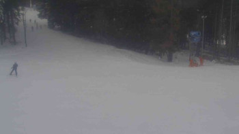 Ski Karlov - areál Karlov