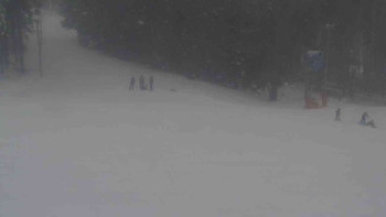 Ski Karlov - areál Karlov