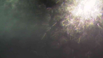 Ski Karlov - areál Karlov