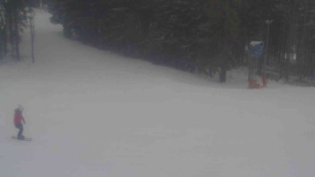 Ski Karlov - areál Karlov