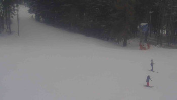 Ski Karlov - areál Karlov