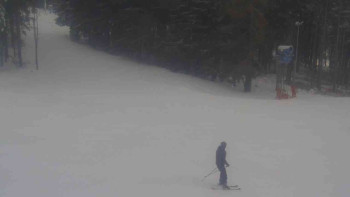 Ski Karlov - areál Karlov