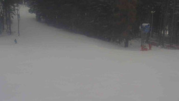 Ski Karlov - areál Karlov