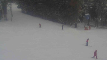 Ski Karlov - areál Karlov