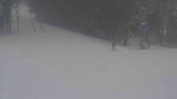 Ski Karlov - areál Karlov