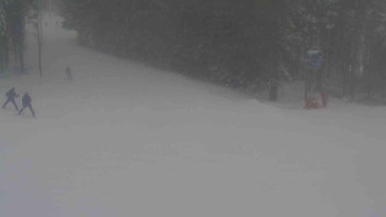 Ski Karlov - areál Karlov