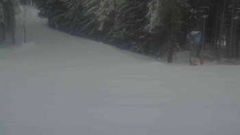 Ski Karlov - areál Karlov