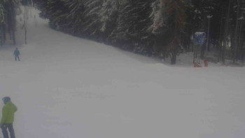 Ski Karlov - areál Karlov