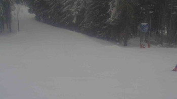 Ski Karlov - areál Karlov