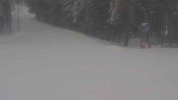 Ski Karlov - areál Karlov