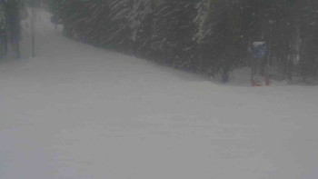 Ski Karlov - areál Karlov