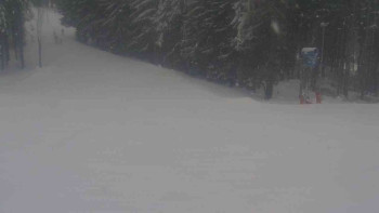 Ski Karlov - areál Karlov