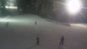 Ski Karlov - areál Karlov