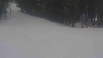 Ski Karlov - areál Karlov