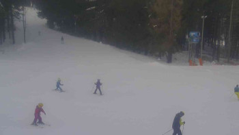 Ski Karlov - areál Karlov