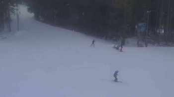 Ski Karlov - areál Karlov