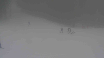 Ski Karlov - areál Karlov