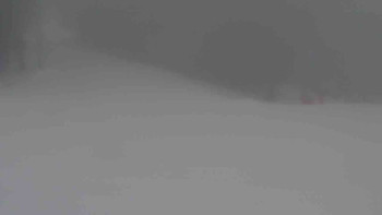 Ski Karlov - areál Karlov