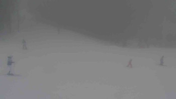 Ski Karlov - areál Karlov