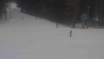 Ski Karlov - areál Karlov