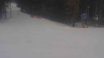 Ski Karlov - areál Karlov