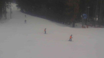 Ski Karlov - areál Karlov