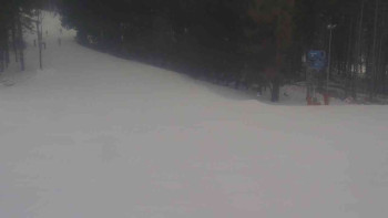 Ski Karlov - areál Karlov