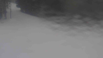 Ski Karlov - areál Karlov