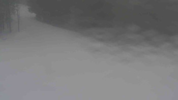 Ski Karlov - areál Karlov