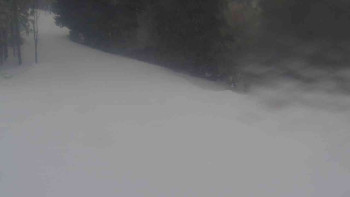 Ski Karlov - areál Karlov