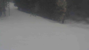 Ski Karlov - areál Karlov