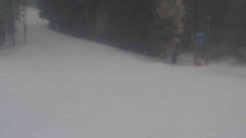 Ski Karlov - areál Karlov