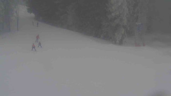 Ski Karlov - areál Karlov