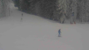 Ski Karlov - areál Karlov