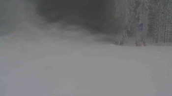 Ski Karlov - areál Karlov