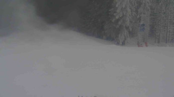 Ski Karlov - areál Karlov