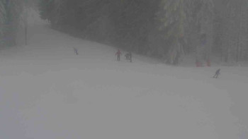 Ski Karlov - areál Karlov