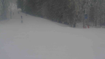 Ski Karlov - areál Karlov