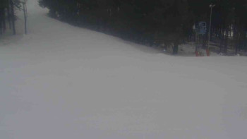 Ski Karlov - areál Karlov