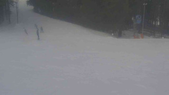 Ski Karlov - areál Karlov