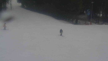 Ski Karlov - areál Karlov