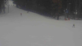 Ski Karlov - areál Karlov