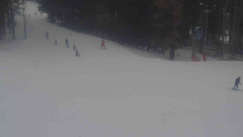 Ski Karlov - areál Karlov