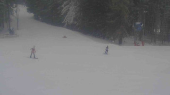 Ski Karlov - areál Karlov