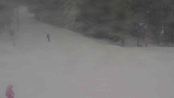 Ski Karlov - areál Karlov