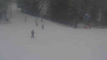 Ski Karlov - areál Karlov