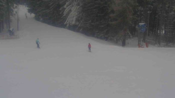 Ski Karlov - areál Karlov