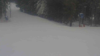 Ski Karlov - areál Karlov