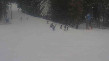 Ski Karlov - areál Karlov